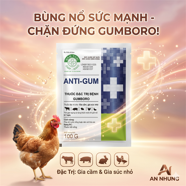 NThái Anti Gum-Para 20% + Neomycin - Bịch 50 gói - Ảnh 2