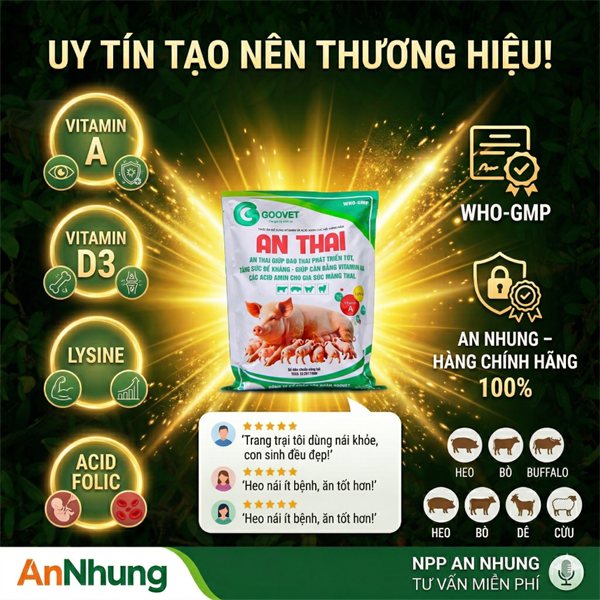 GOOVET AN THAI 1kg - Thùng 15 gói - Ảnh 5