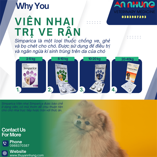 ZOETIS SIMPARICA - XS - Viên nhai trị Ve, Rận Chó Mèo - Hộp 3 viên - Tím - Ảnh 5