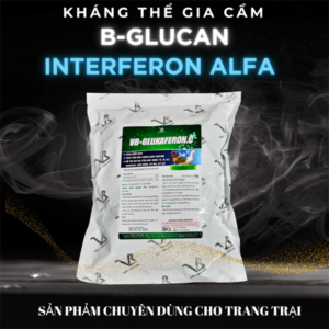 VB GLUKAFERON.C 1kg - kháng thể Virus Interferon >70% - Gà Vịt - Gói 10in1
