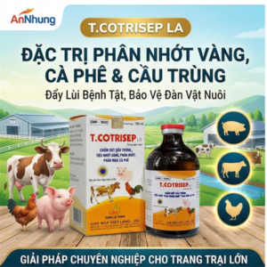 LIKE T. COTRISEP LA ( SulfaTrime) - Chai 100 ml