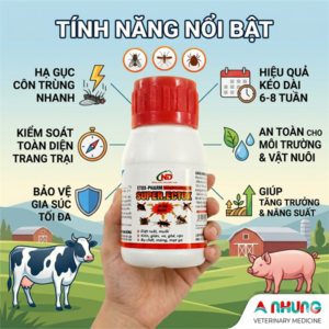 Alternative view of ND Super Ectox 50ml - Hộp 40 lọ