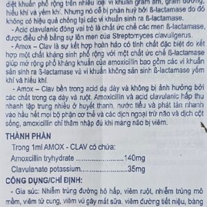 Alternative view of Á Châu Amox Clav 20ml - Lọ 20ml