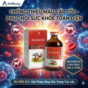 VB FERO B12 100ml - Phòng thiếu máu trên gia súc non - Lọ 100ml