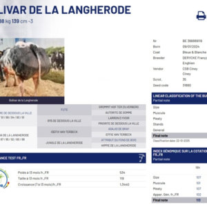 Alternative view of BBB BOLIVAR DE LA LANGHERODE - BE 366889119 - 91 Point - liều