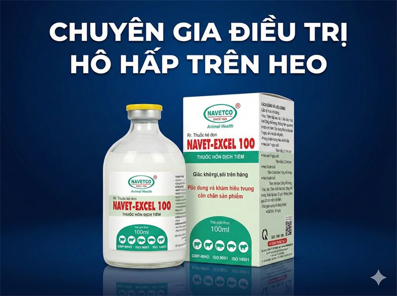 NAVET EXCEL 10% 100ml - Ceftifour - Lọ 100ml - Ảnh 3