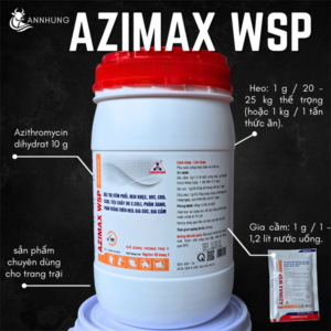 Alternative view of SAGOPHAR AZIMAX WSP (AZITHROMYCIN) 1 Kg - Lon 10in1