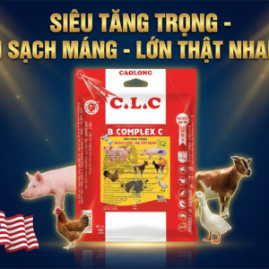 Alternative view of CAO LONG BCOMPLEX C - Gói 1Kg