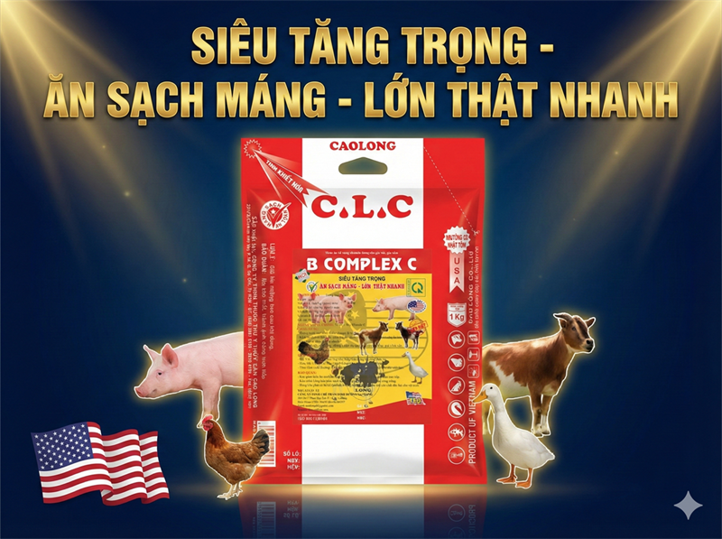 CAO LONG BCOMPLEX C - Thùng 20 gói - Ảnh 2