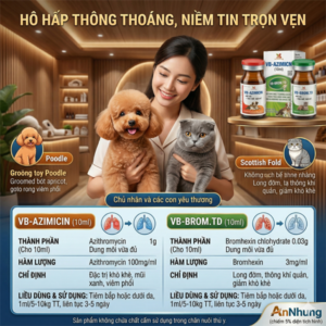 VB Azimicin Brom - 10ml - Kháng sinh Chó, Mèo cặp cao cấp - Hộp 2 lọ