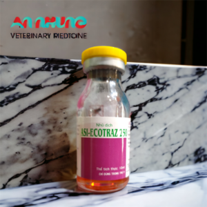 Asi Ecotra 10ml - Hộp 10 lọ