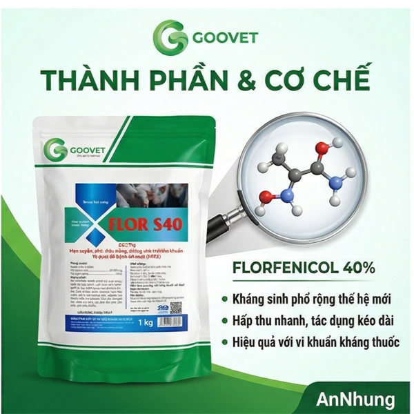 GOOVET FLOR S40 1kg - Gói 10in1