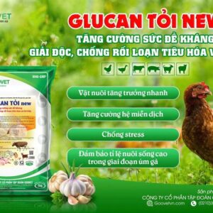 Alternative view of GOOVET GLUCAN TỎI - Gói 1Kg
