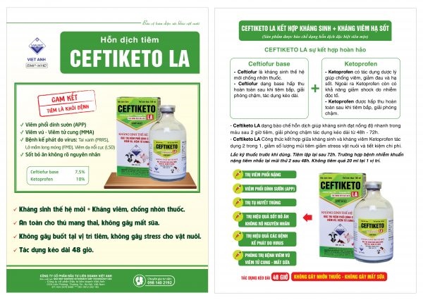 Via Ceftiketo 20ml - Lọ 20ml - Ảnh 5