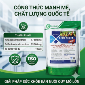 GOOVET AMPI SULFA NEW - Chướng diều, khô chân, sã cánh, toi rù, mào thâm, phân xanh, phân trắng, nhớt vàng - Gói 10in1