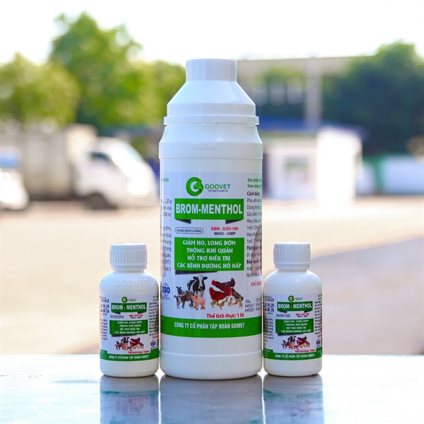 GOOVET BROM MENTHOL Oral 1 lít - Chai - Ảnh 3