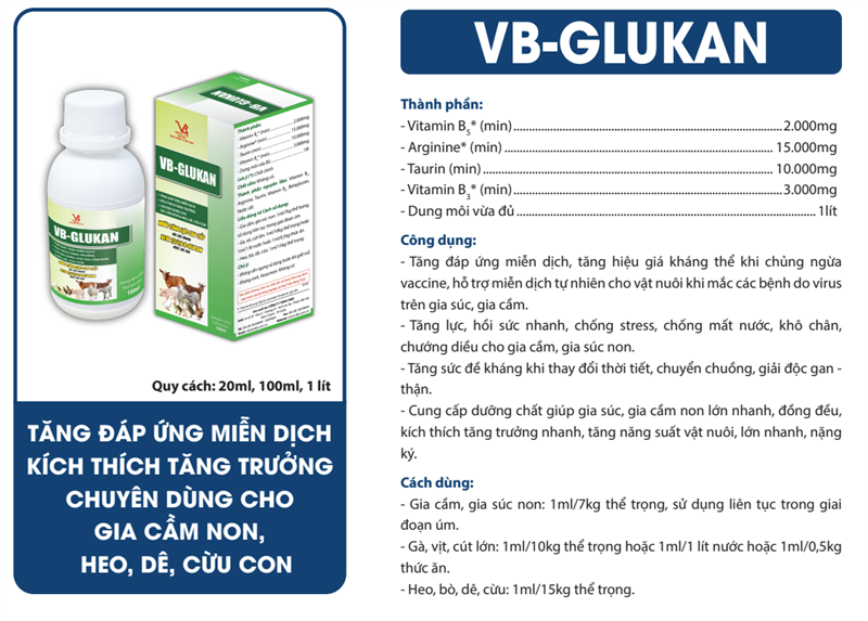 VB GLUCAN - Nước tăng lực, Beta 1,3/1,6‐D - 1 lít - Can - Ảnh 3
