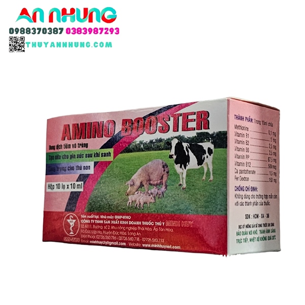 Minh Huy Amino Boster (Kích sữa) 10ml - Hộp 10 lọ - Ảnh 3