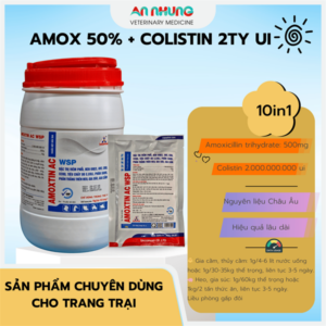 SAGOPHAR AMOXTIN 50% AC WSP XANH - 1kg - Amox Colis (N) - Lon 10in1