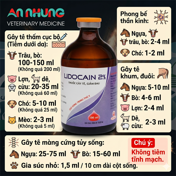Hanvet Lidocain 2% (Gây tê) 100ml - Lọ - Ảnh 2