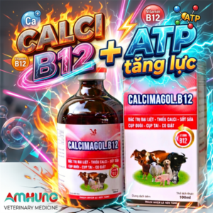 VB CALCIMAGOL B12 (CA MG B12) 100ml - chai 100ml