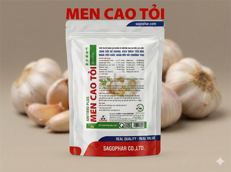 SAGOPHAR - MEN CAO TỎI -1kg (10in1) - Gói