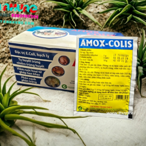 Alternative view of Goovet Amox Colis 10gr - Hộp 50 gói