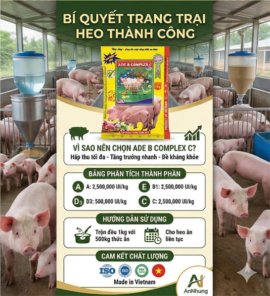 CAO LONG ADE BCOMPLEX C 1kg - Thùng 20kg - Ảnh 4