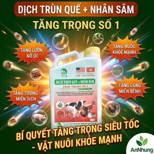 SUMI FOX-USA - DỊCH TRÙN QUẾ NHÂN SÂM (Tăng trọng số 1) - 1 lít - Can