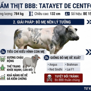BBB TATAYET DE CENTFONTAINE BE 155814595 - 88 Point