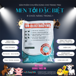 Alternative view of VB ELECTROZYM 1kg - Men sống tỏi, chịu kháng sinh, bù điện giải - Thùng 20kg