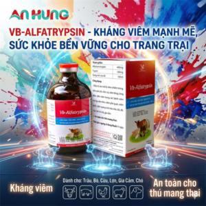 VB ALFATRYYPSIN - 100ml - Chai 100ml