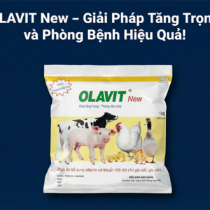 VMD OLAVIT 1kg - Gói