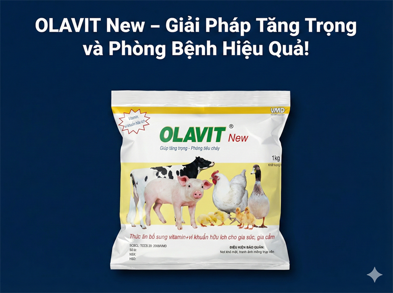 VMD OLAVIT 1kg - Thùng 10 gói