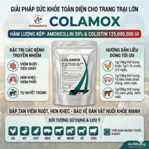 Á CHÂU COLAMOX 1kg - Amox 20% - Gói 10in1