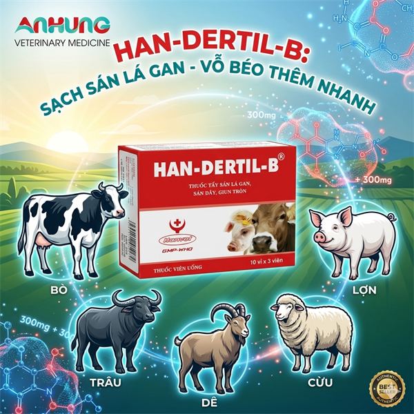 HANDEXRTIL B (viên 50kg thể trọng) - Hộp 30 viên