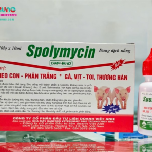 Alternative view of VIAVET Spolymycin Oral 10ml - Colistin, tiêu chảy nước hồng - Hộp 10 lọ