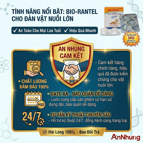 Bio Rantel - Hộp 10 viên - Ảnh 5