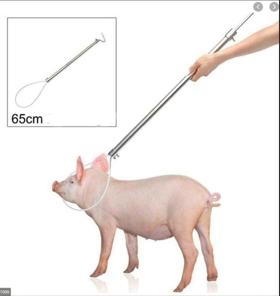 Khớp Mỏ Heo (cây bắt heo - Thòng lọng bắt heo) Pakistan - Thép không rỉ - 60 cm - cái - Ảnh 3