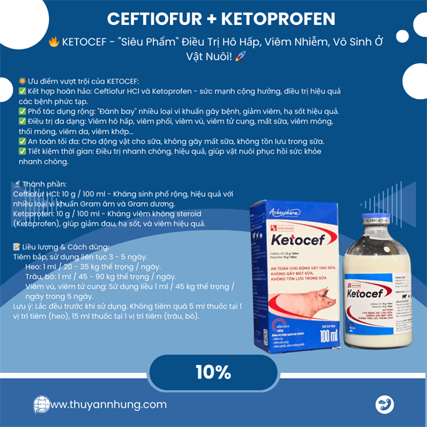 Á CHÂU KETOCEF 100ml - Cef 10% Ketoprofen 10% - Chai 100ml - Ảnh 3