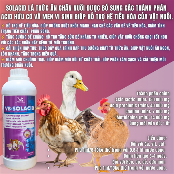 VB SOLACID 1 Lít - Acid Amin, Amino - thùng 15chai - Ảnh 3