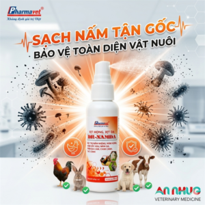 Drich Xịt họng, Xịt Da - Nấm miệng, nấm da, nấm cóc - 50ml