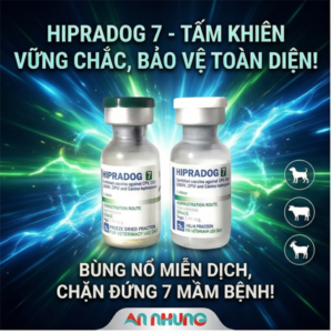 Vaccine Hipra Dog - 7 bệnh Chó - Liều