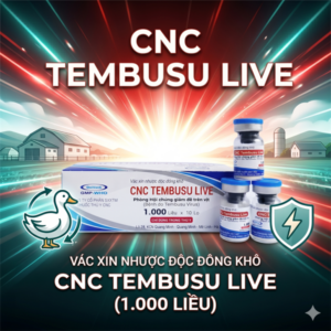 CNC Tembusu - Đông Khô - 1000 liều - Lọ