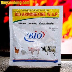 Bio Bromhexine - Gói 100gr