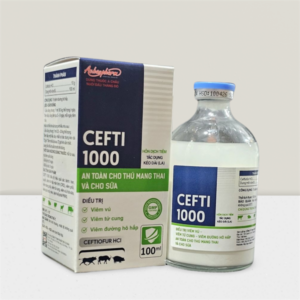 Á CHÂU CEFTI 1000 - Lọ 100ml