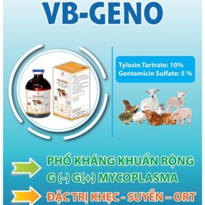 Alternative view of VB GENO ( GENTA TYLO) - Chai 100ml