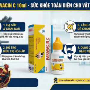 Viavet Paravacin C Oral 10ml - hạ sốt, giảm đau - Hộp 10 lọ