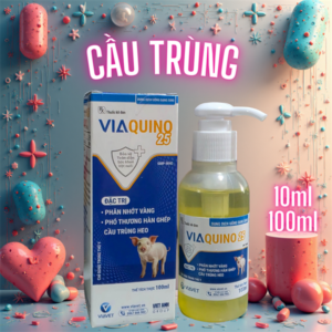 VIAVET QUINO 25 100ml - Lọ 100ml