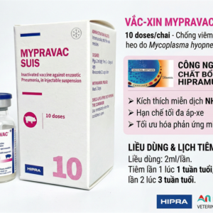 Vaccine Hipra Mypravac Suis - Lọ 10 liều